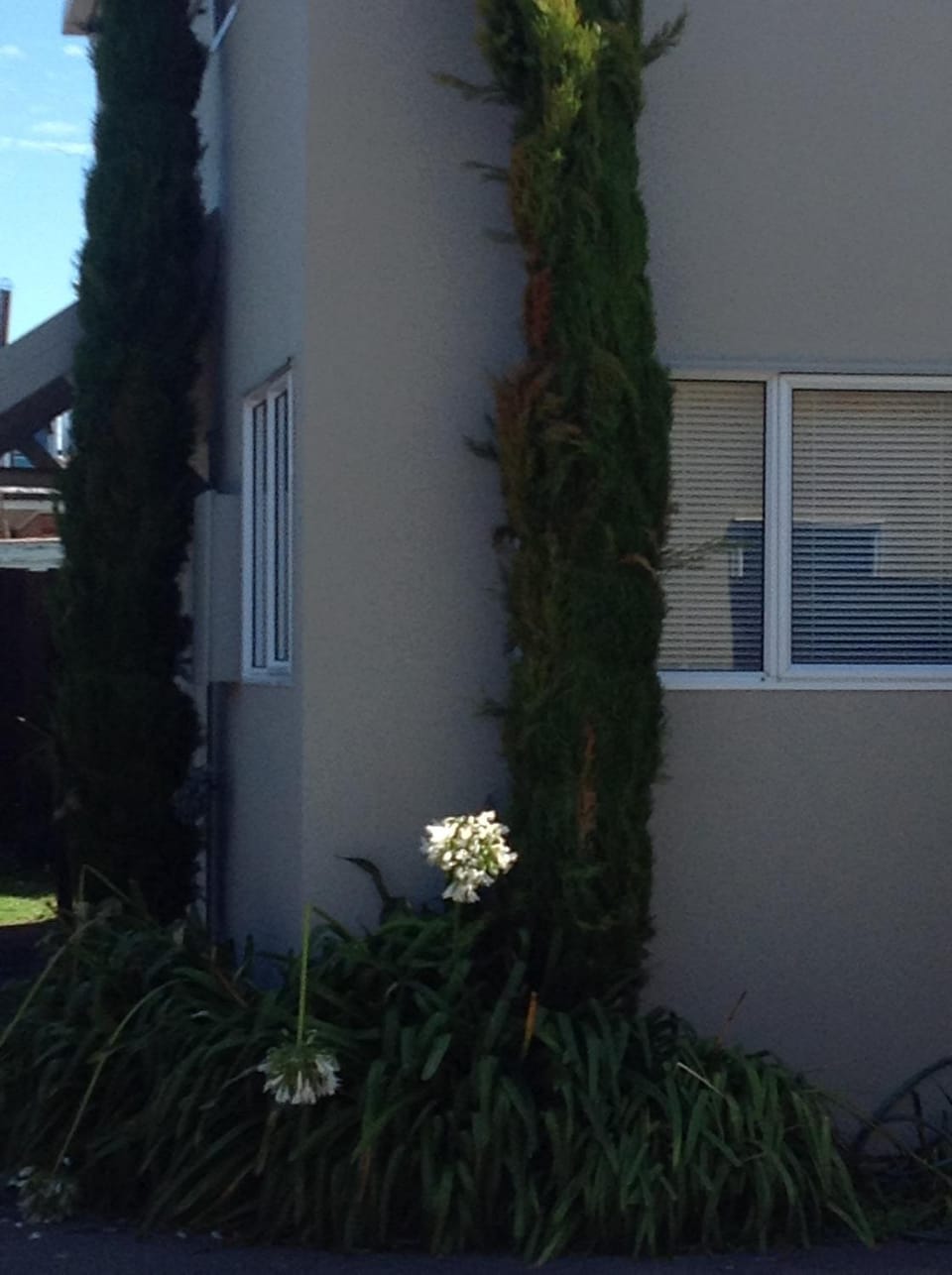 City Townhouse on Sherborne Apartment in Christchurch
