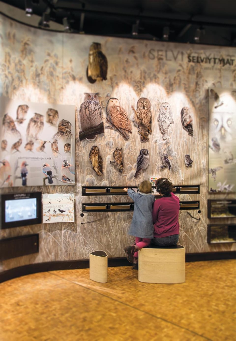 Activities, Area and facilities, Entertainment