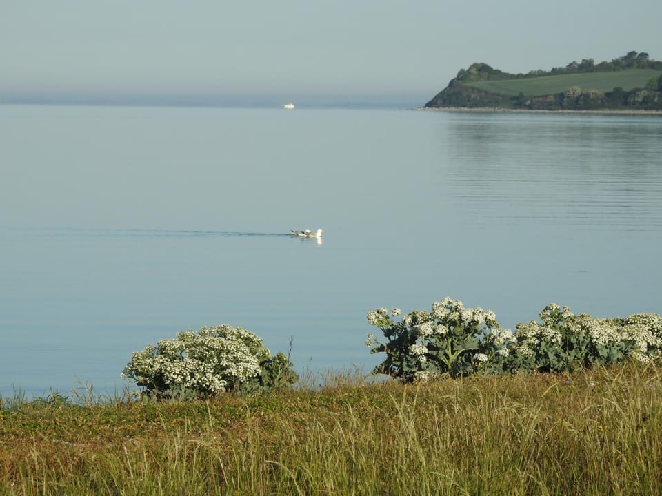 Aa Strand Camping Apartment in Region of Southern Denmark