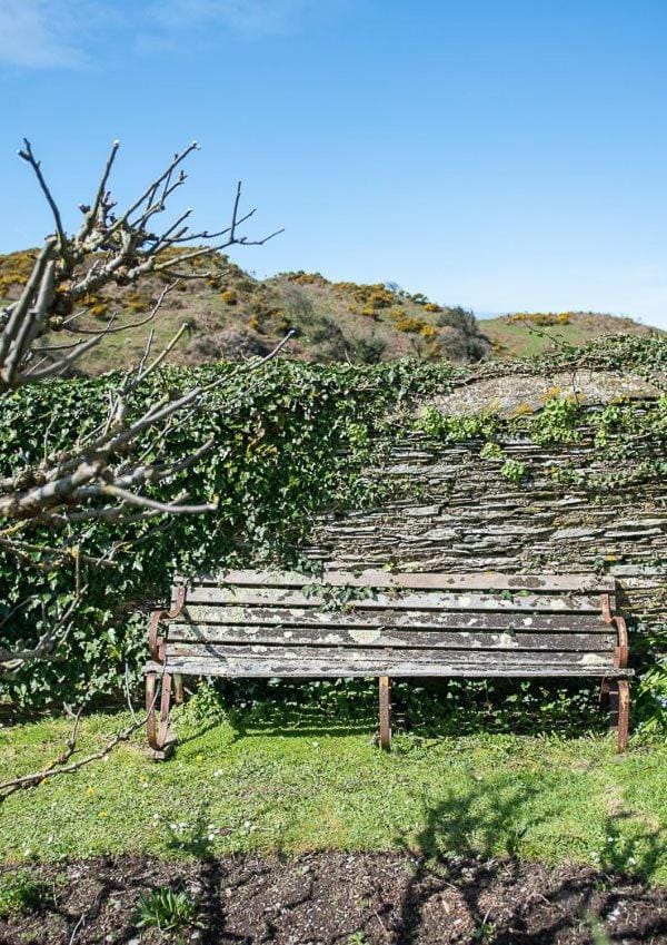 Old Vicarage Mortehoe Near Woolacombe 2 x sleeps 4 and 1 x sleeps 10 cottages House in Woolacombe