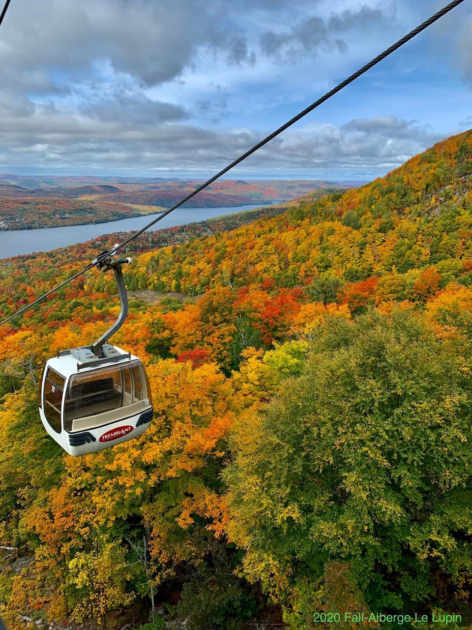 Autumn