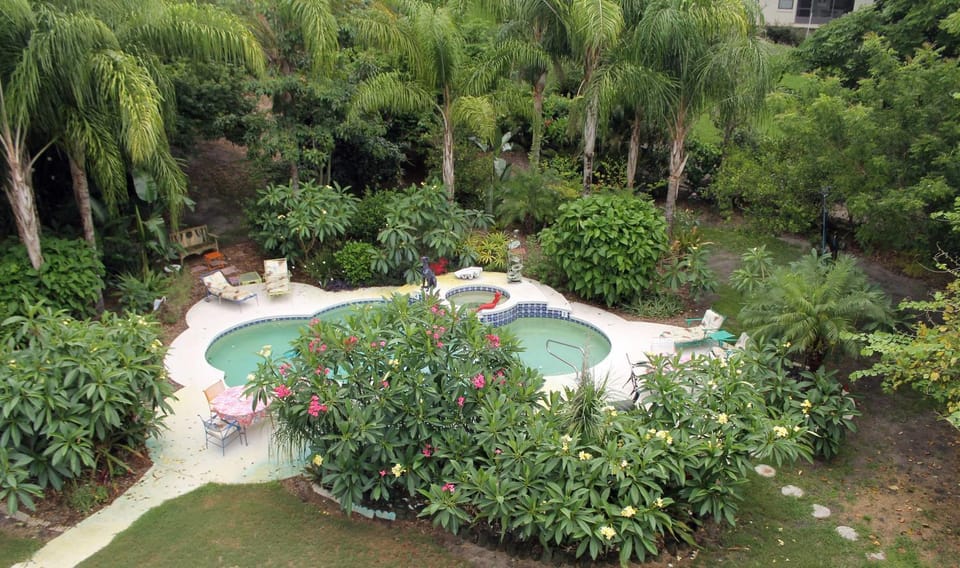 Garden, Garden view, Pool view
