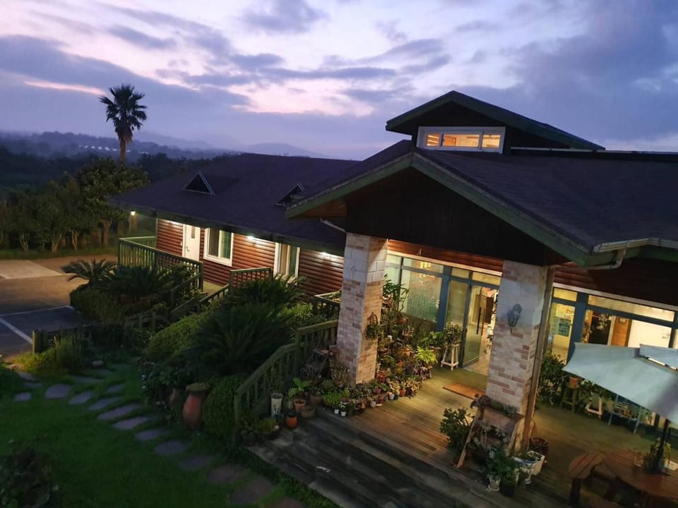 Night, Garden view