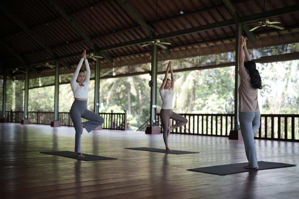 Activities, Activities, Spa and wellness centre/facilities, Spa and wellness centre/facilities