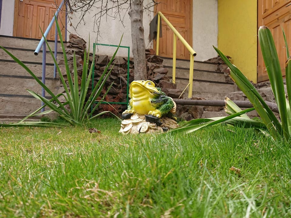 Spring, Garden
