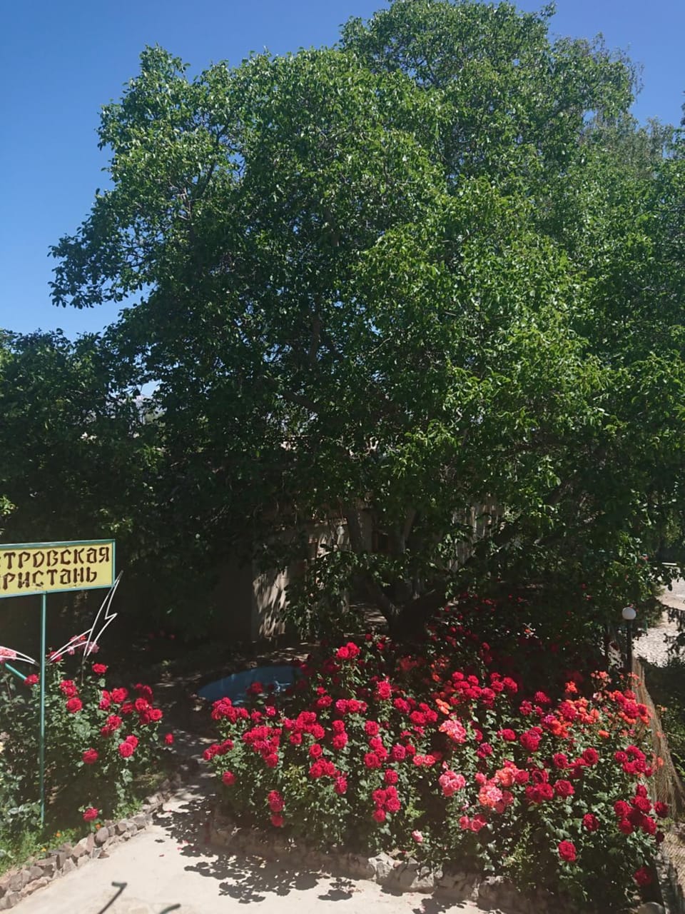 Natural landscape