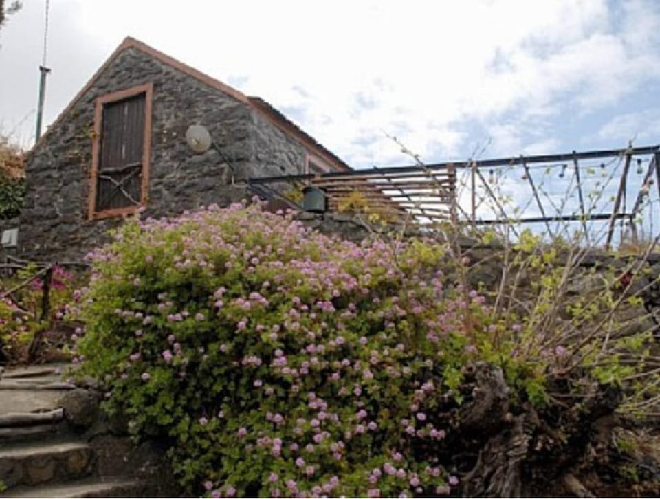 Facade/entrance, Bird's eye view