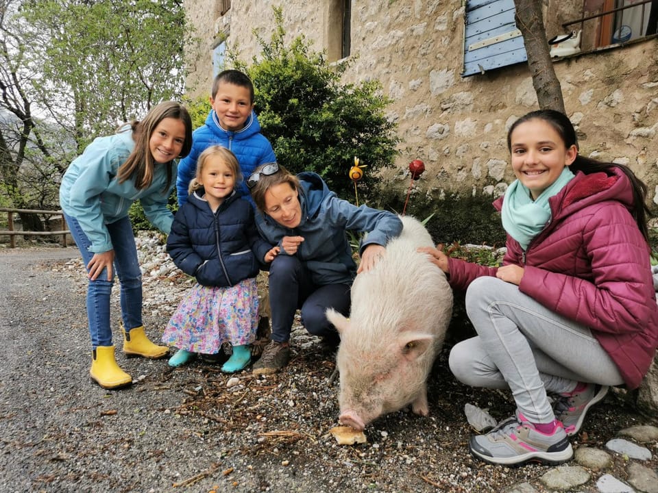People, Animals, group of guests, Family