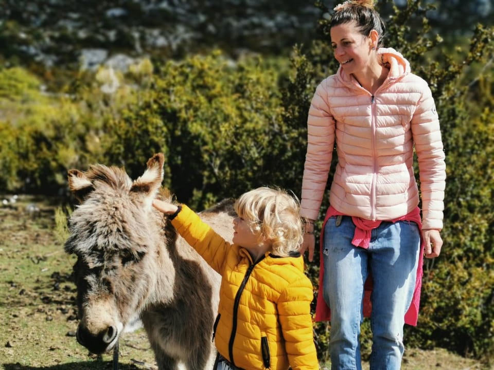 People, Animals, children, group of guests