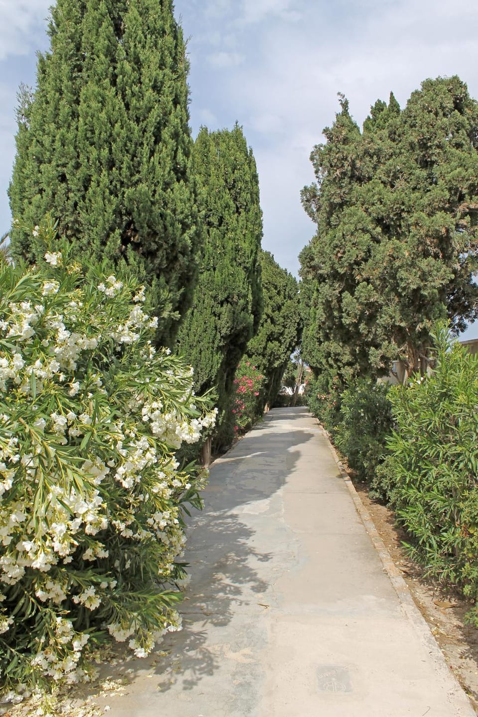 Neighbourhood