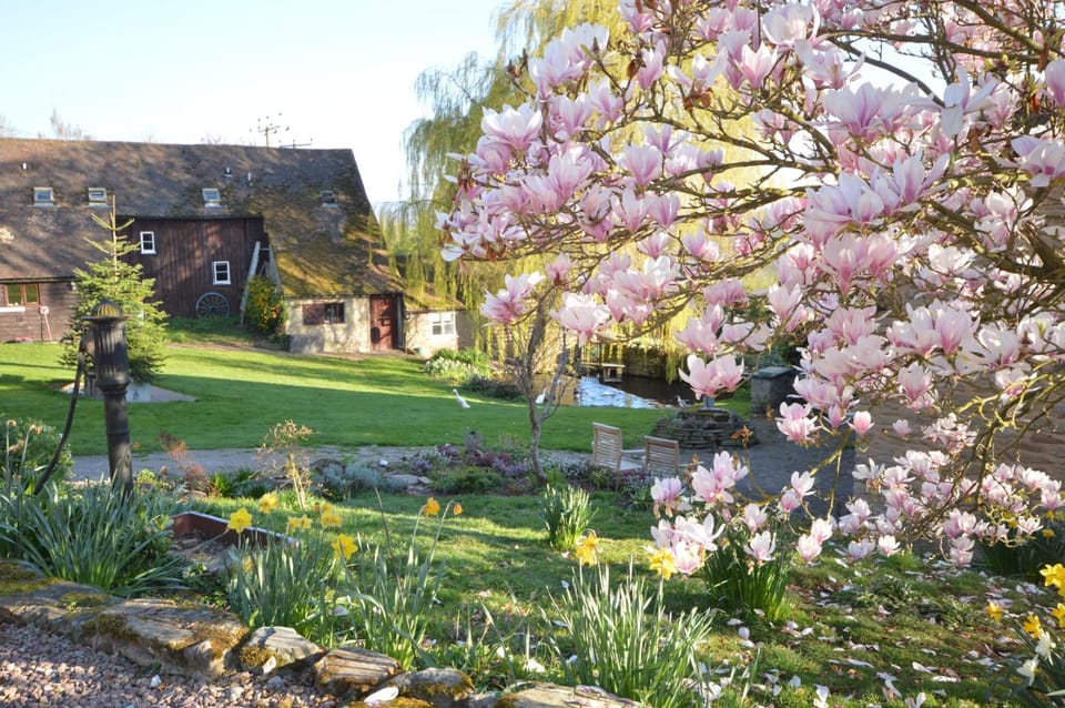 Natural landscape, BBQ facilities, Garden, Animals, Garden view