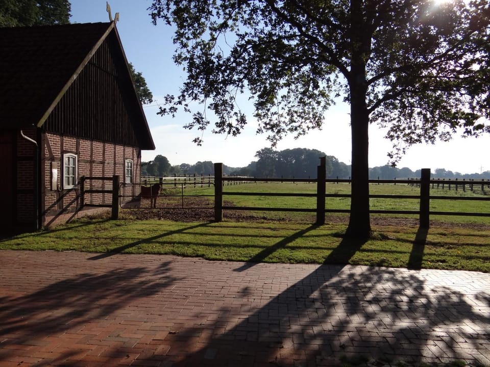 Horse-riding
