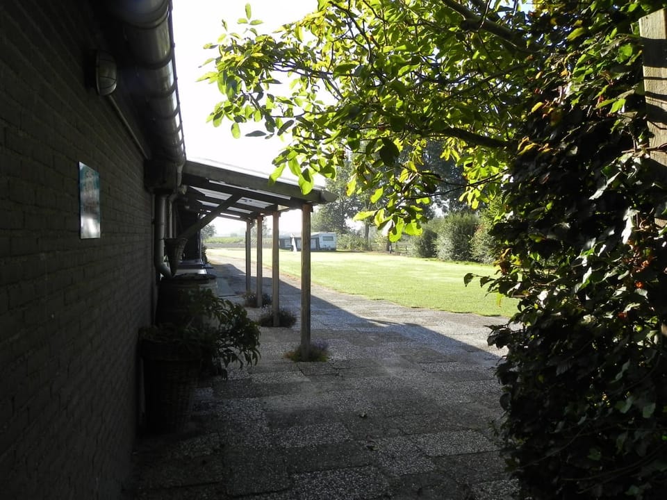Natural landscape, On site