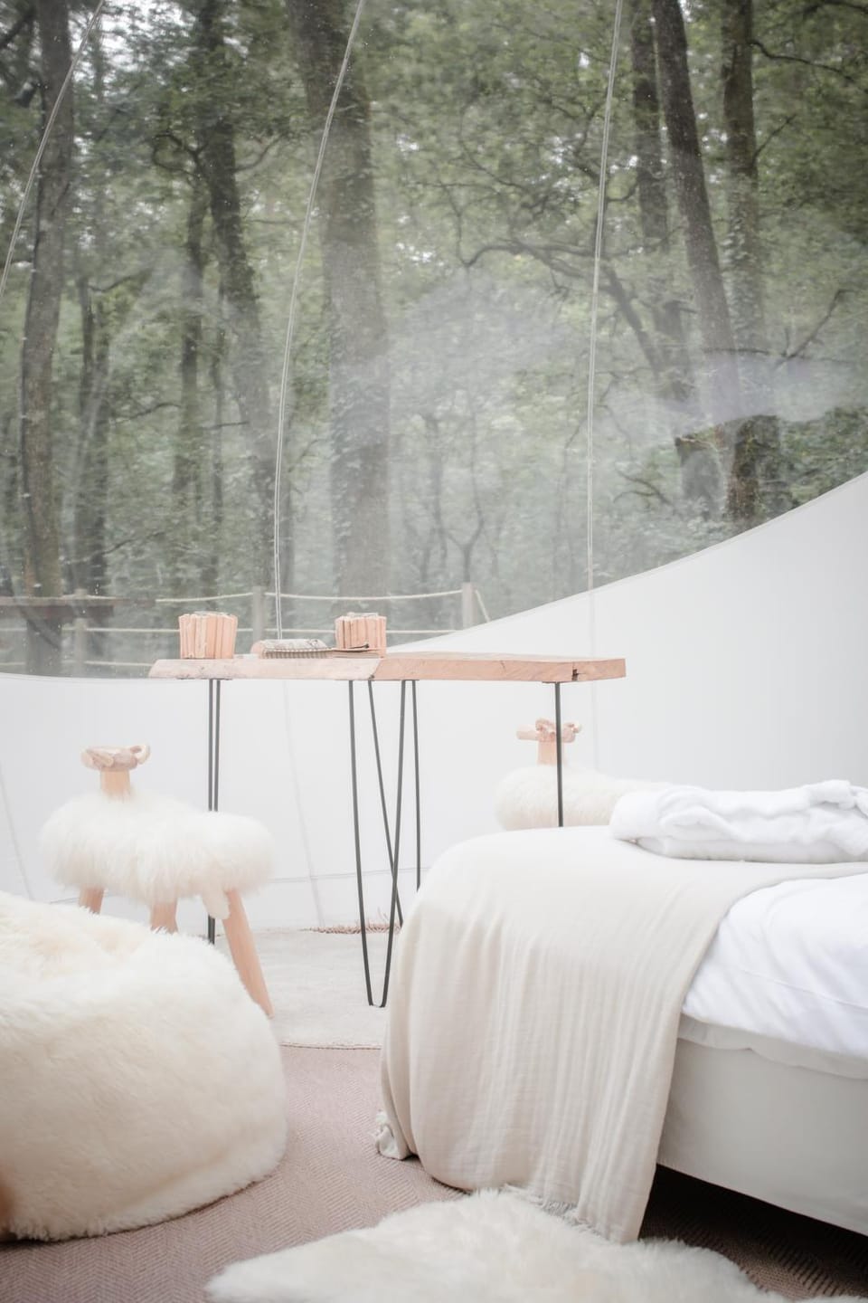 Photo of the whole room, Bedroom, Autumn