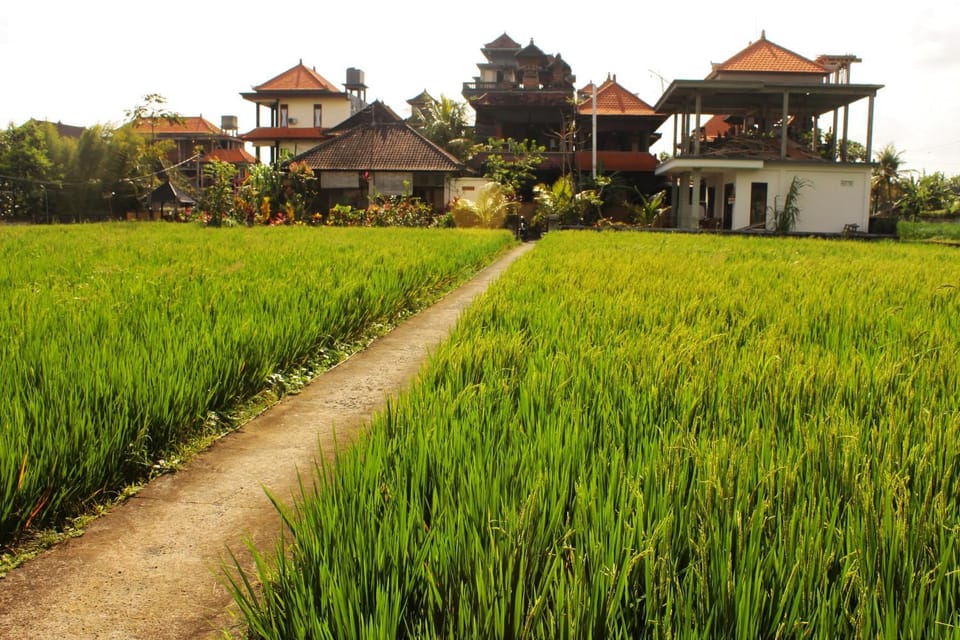 Cenik House Ubud Bed and Breakfast in Ubud