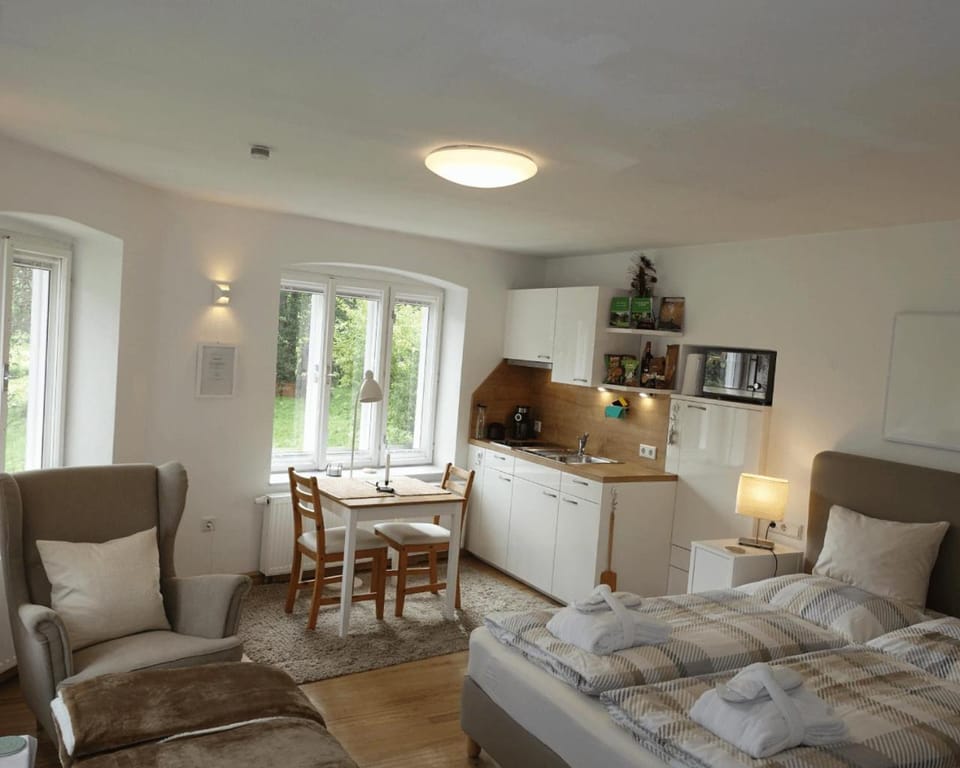 Bed, Kitchen or kitchenette, Living room, Photo of the whole room, Seating area, Dining area, Bedroom, kitchen