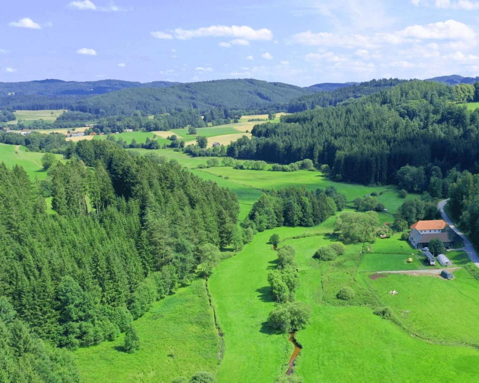 Property building, Day, Natural landscape, Bird's eye view, Summer, Garden, Location