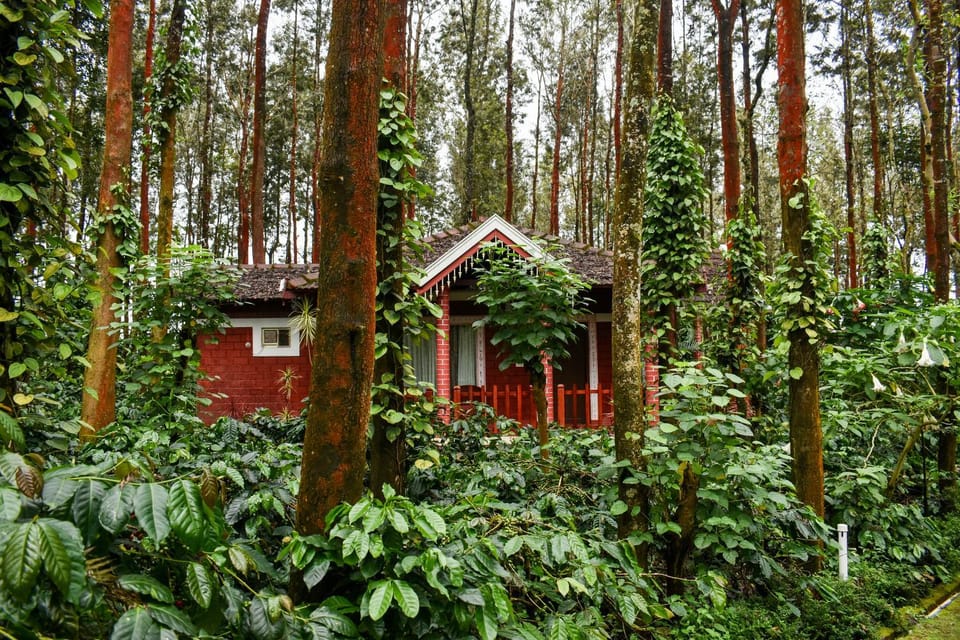 Garden, Garden view