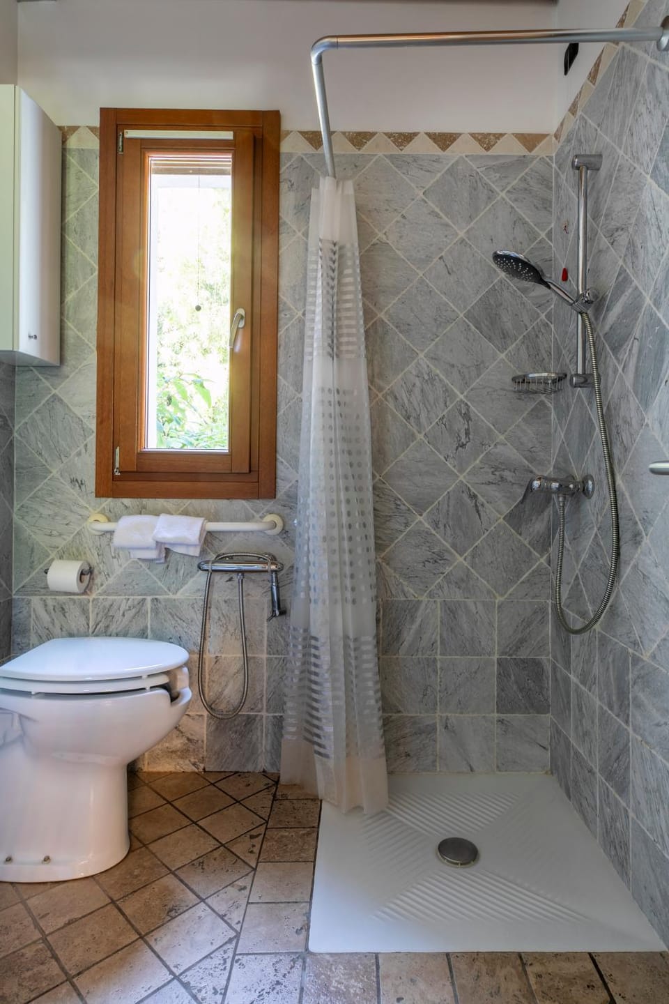 Toilet, Facility for disabled guests
