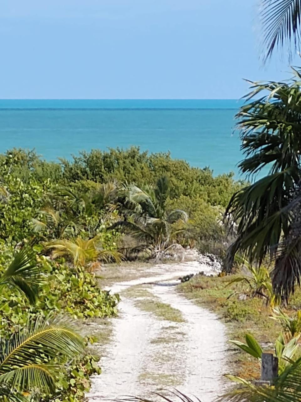 Nearby landmark, Natural landscape, Beach, Sea view