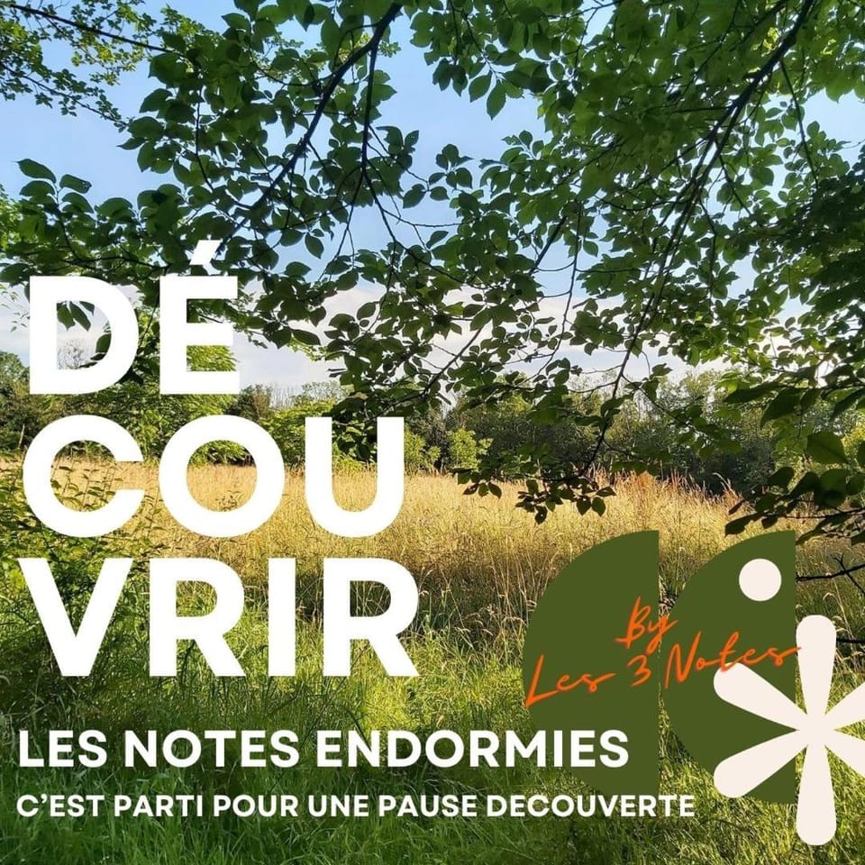 Maison d'hôtes Les Notes Endormies adultes only Bed and Breakfast in Belgium