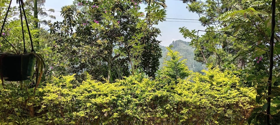 White Arcadia cottage Bed and Breakfast in Uva Province, Sri Lanka
