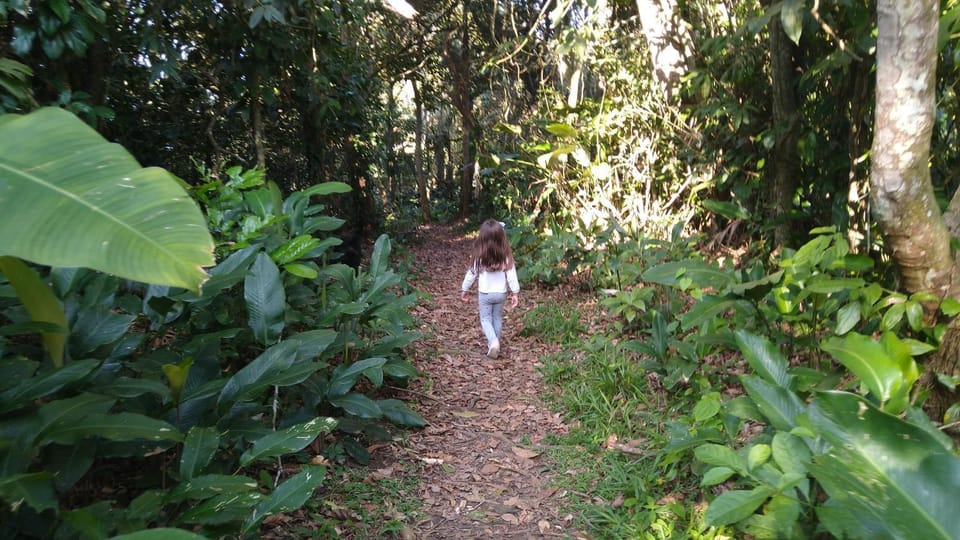 Hiking