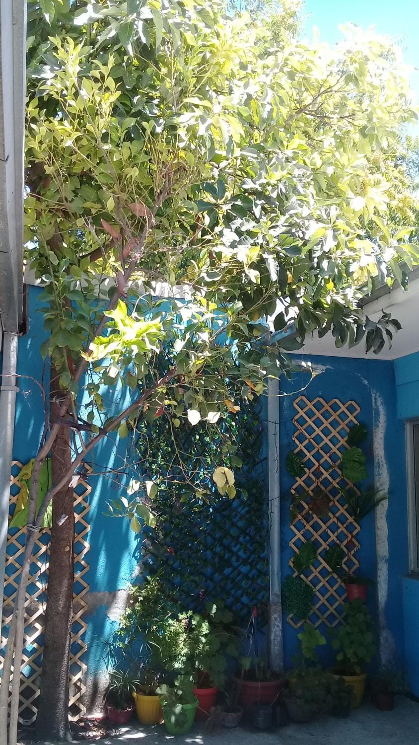 View (from property/room)