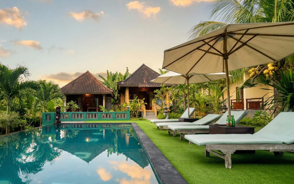 Day, Garden, Garden view, Pool view, Swimming pool, sunbed