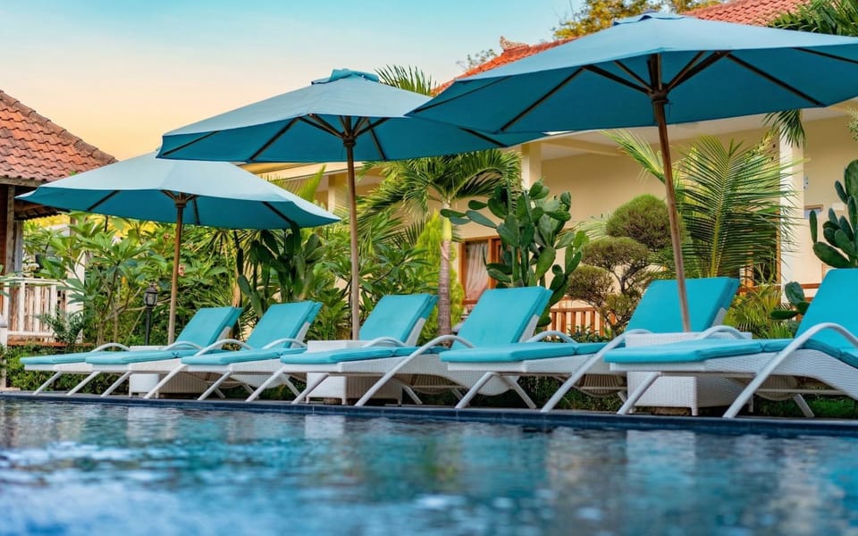 Garden, Pool view, Swimming pool, sunbed