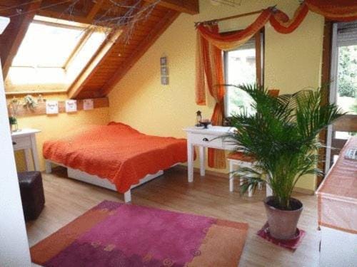 Day, Photo of the whole room