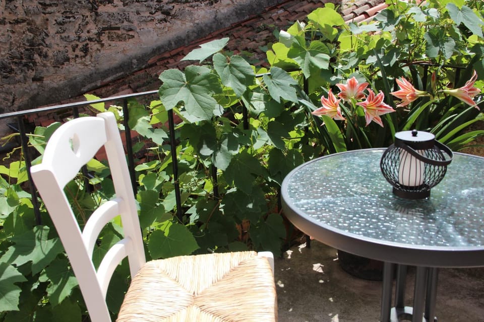 Patio, Day, Garden, Garden view