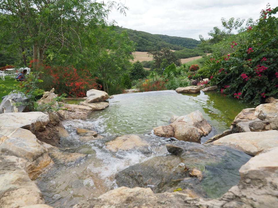 Natural landscape