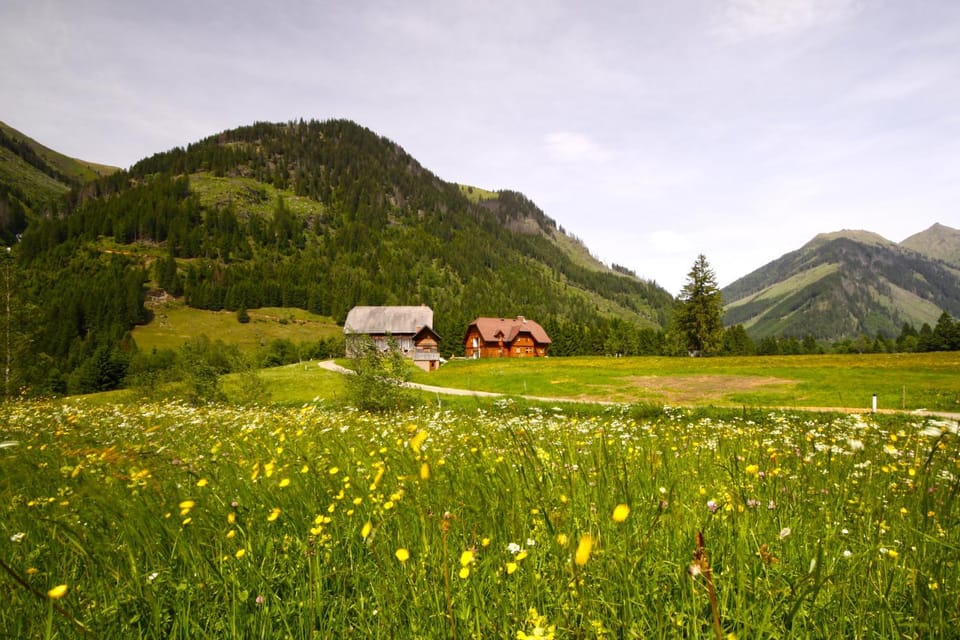 Mountain view