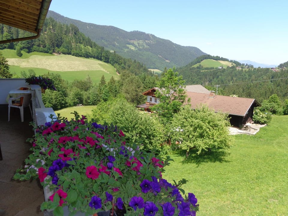 Neighbourhood, Natural landscape