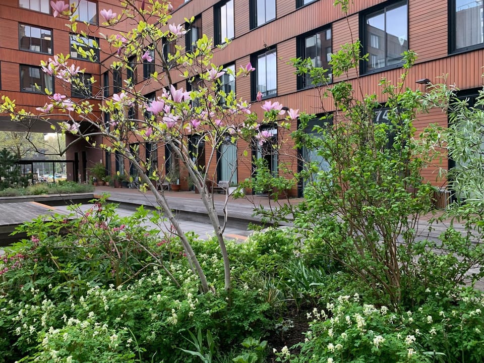 Inner courtyard view