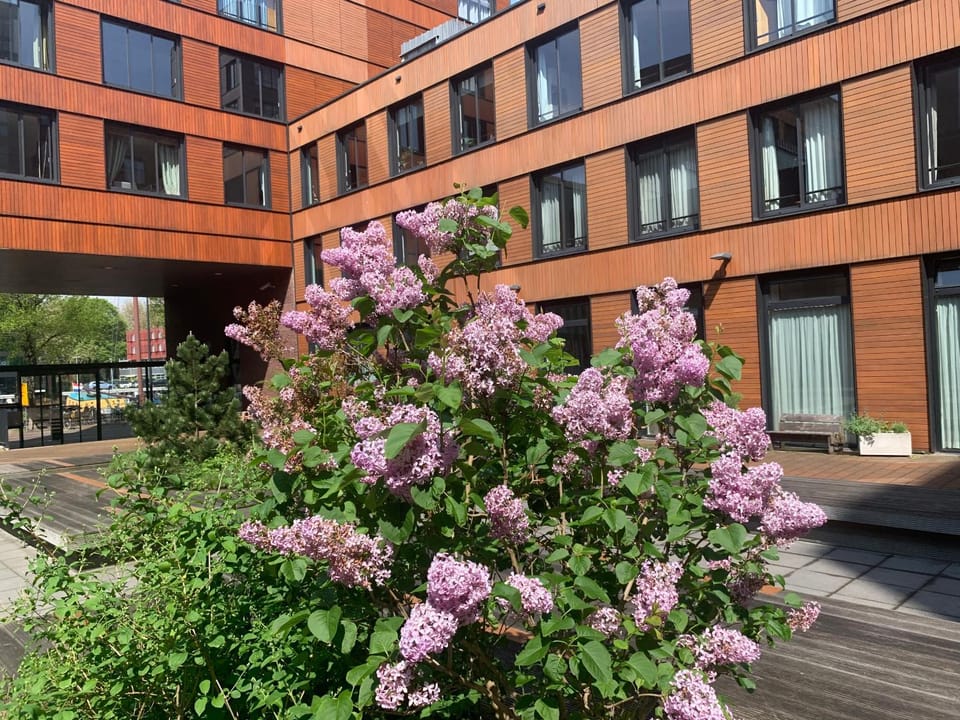 Property building, Patio
