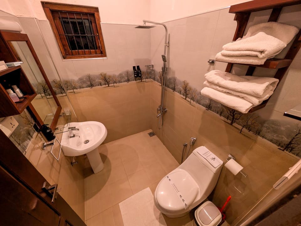 Shower, Toilet, Bathroom, bidet, towels
