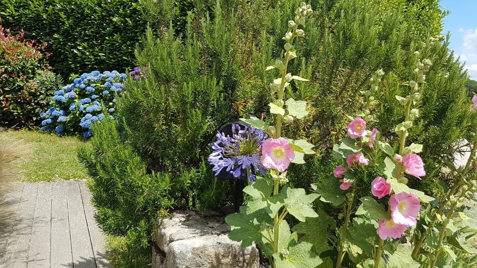 Garden view