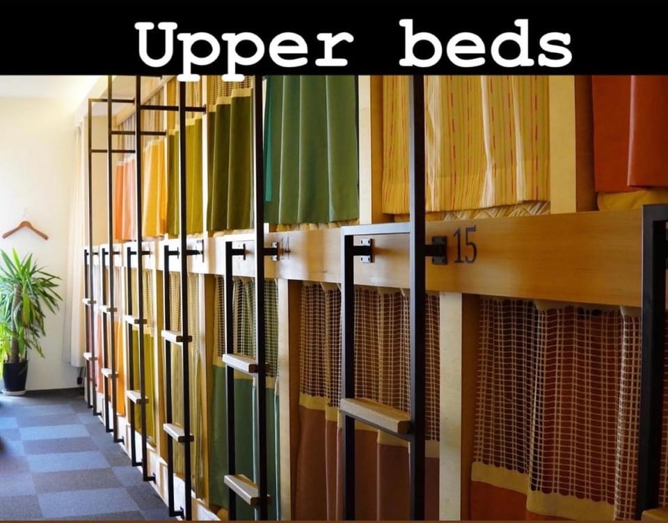 Bed, Bedroom, bunk bed