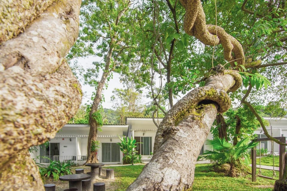 Property building, Garden