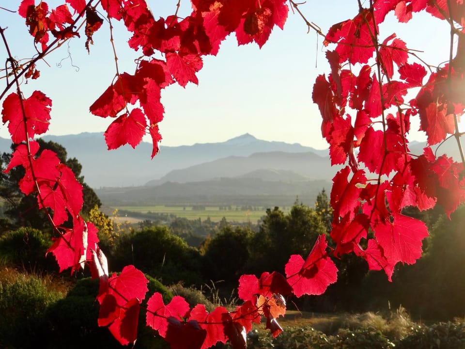 Autumn