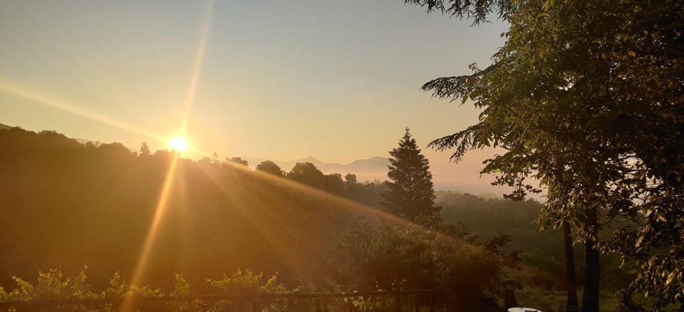 Natural landscape, Balcony/Terrace, Sunrise