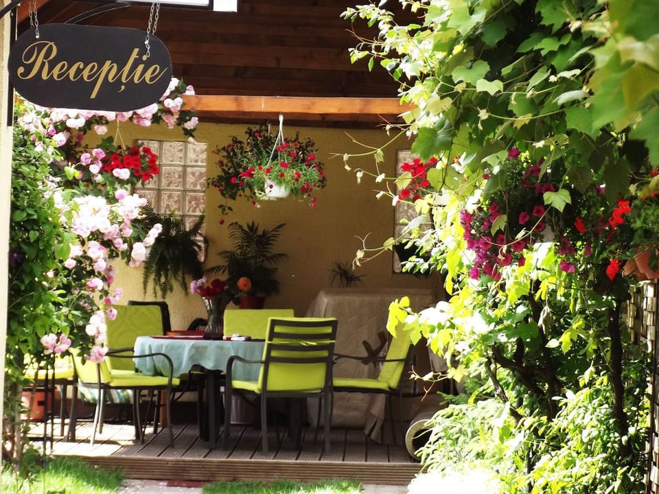 Garden, Balcony/Terrace