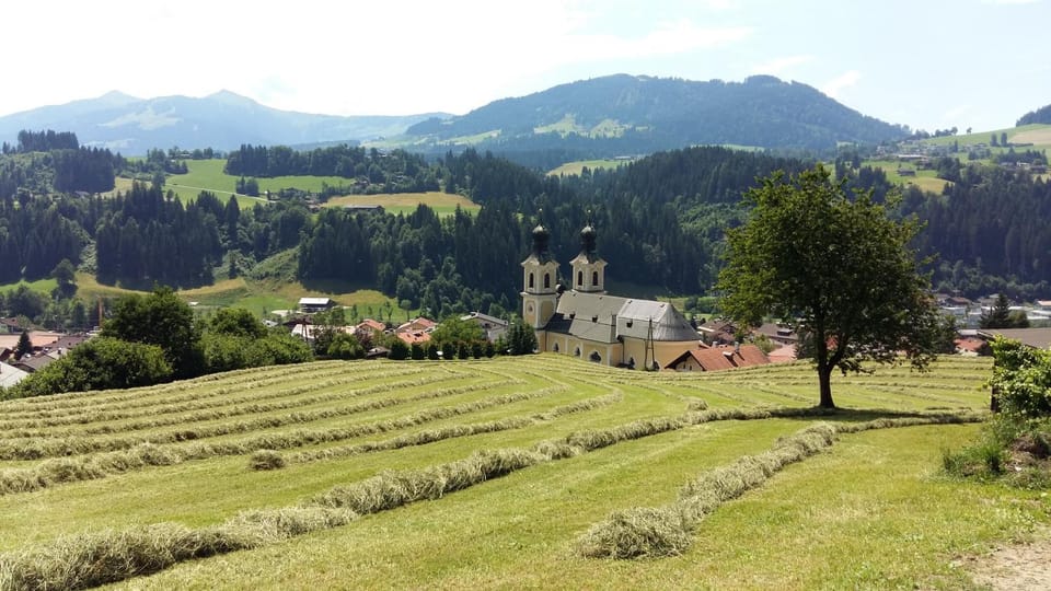Neighbourhood, Natural landscape, Summer, Hiking, Mountain view