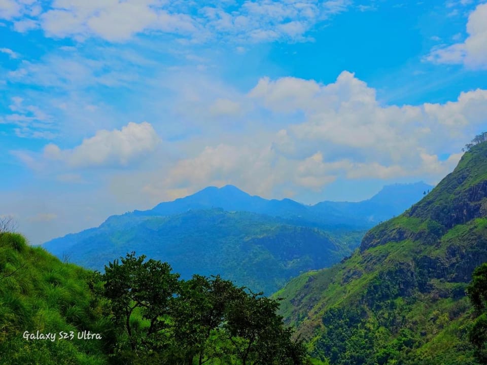 Natural landscape