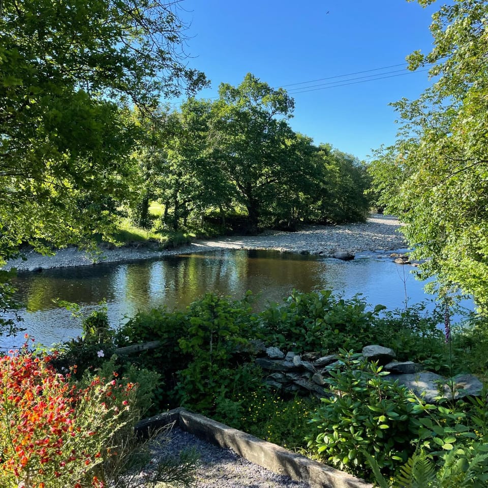 Natural landscape, River view