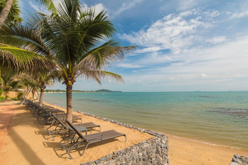 Beach, sunbed