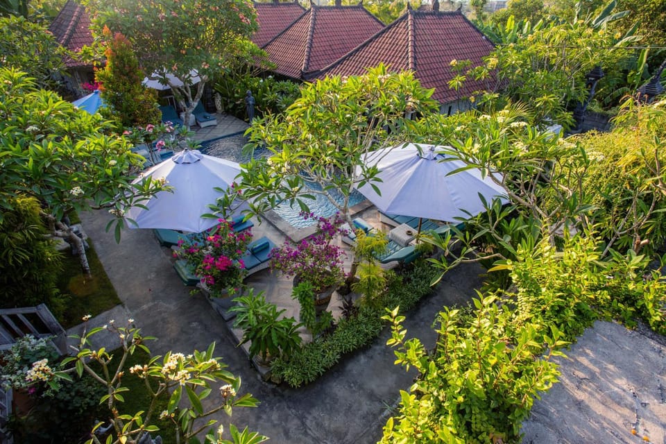 Bird's eye view, Swimming pool