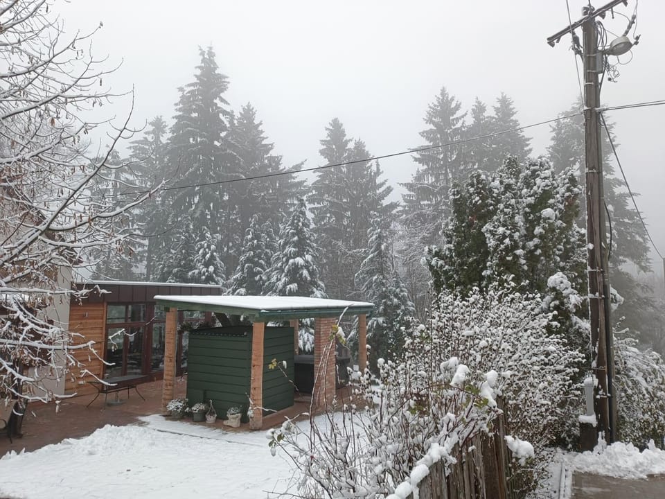 Winter, Garden, Spa and wellness centre/facilities